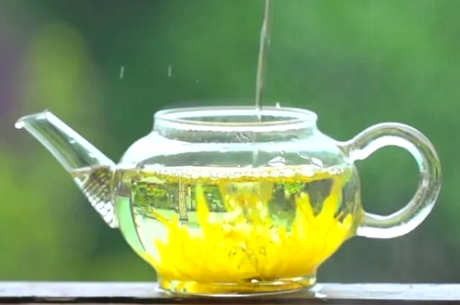 菊花茶用多少水泡菊花茶？