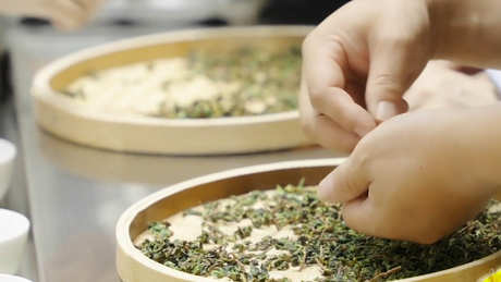 铁观音用多少度水泡茶？