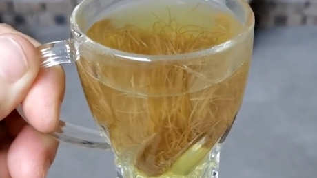 玉米须茶能冷泡吗？