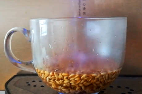 大麦茶能冷泡吗？