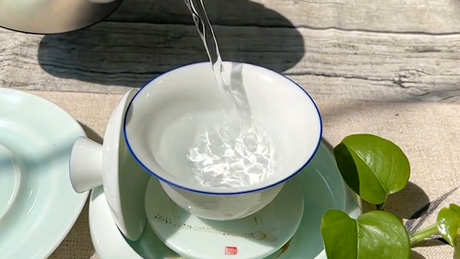 怎样冲泡茉莉花茶？