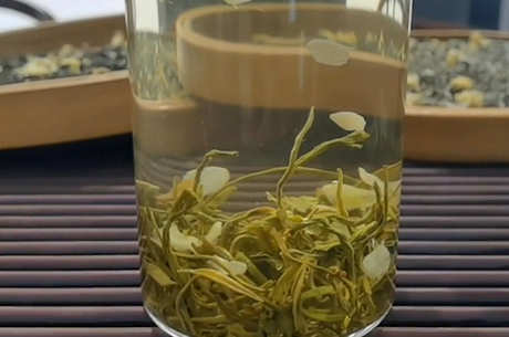 怎样冲泡茉莉花茶？