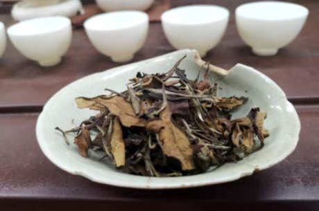 十大白茶品牌排名前十，品尝香天鼎银龙排名前三