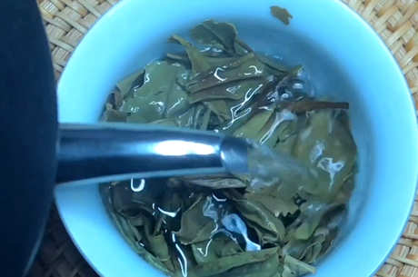 白茶泡茶工艺