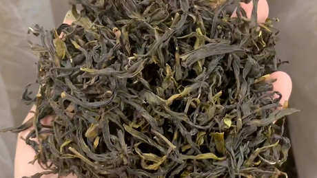8克大红袍泡多少水？
