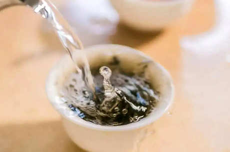 铁观音用杯子怎么泡？