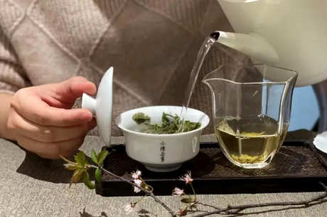 绿茶冲泡方法步骤