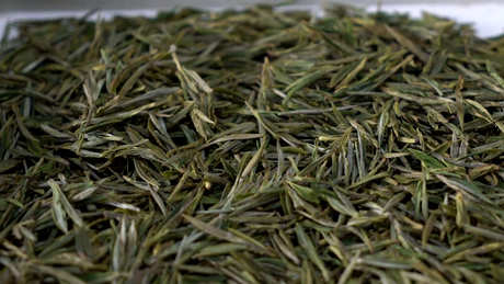 绿茶菊花能泡茶吗？