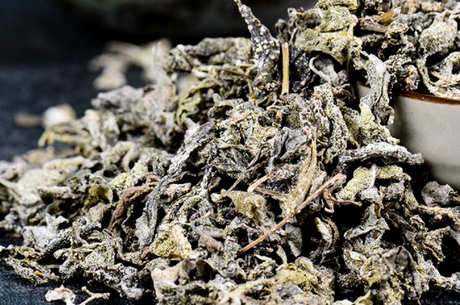 富含17种氨基酸的茅岩莓茶能增强细胞活力