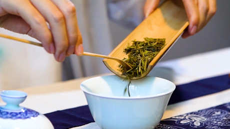 天目青顶怎么泡？