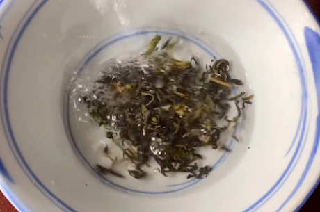 天目青顶怎么泡？