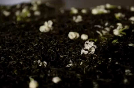 茉莉花茶有花好还是没花好，茉莉花茶没有花好