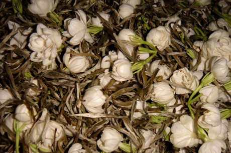 茉莉花茶有花好还是没花好，茉莉花茶没有花好