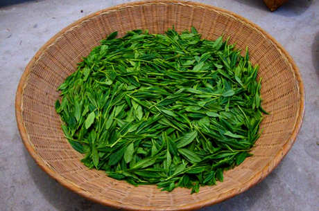 什么茶好喝高档，盘点中国十大最高档茶叶？