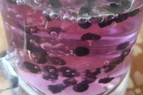 用水浸泡黑枸杞的方法