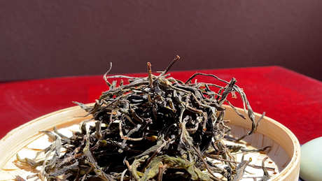 如何泡古树茶？