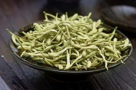 什么样的人不能喝金银花泡的水，这五种人不能喝金银花