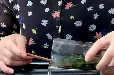正确冲泡绿茶的方法