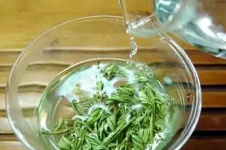 正确冲泡绿茶的方法