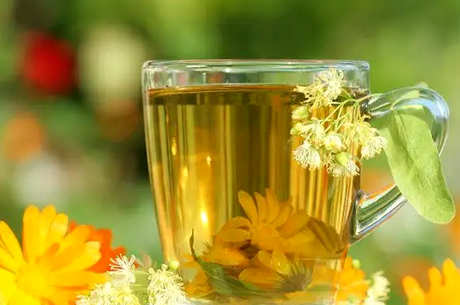 菊花可以直接泡茶吗？