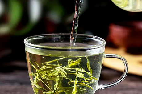 如何冲泡毛尖茶？