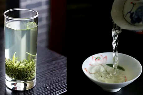 如何冲泡毛尖茶？