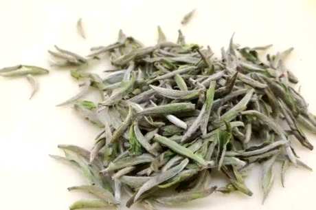 白茶有什么作用，适合谁喝？