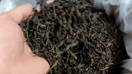 什么是单丛茶？
