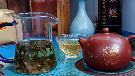凤凰单丛茶是什么茶？
