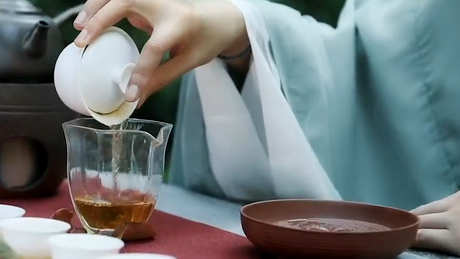 乌东单丛茶是什么茶？