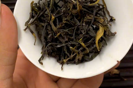 乌东单丛茶是什么茶？