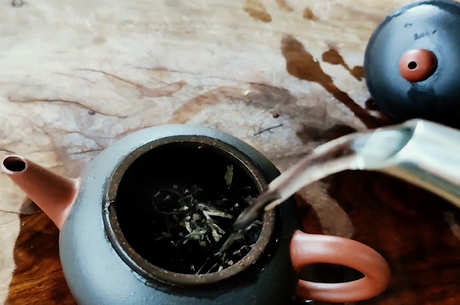 什么样的普洱茶最好喝？