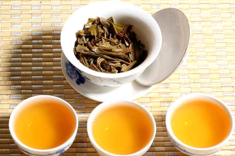 普洱茶在哪里买正宗的普洱茶？