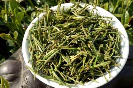 金芽茶一斤多少钱？金芽茶的档次如何？