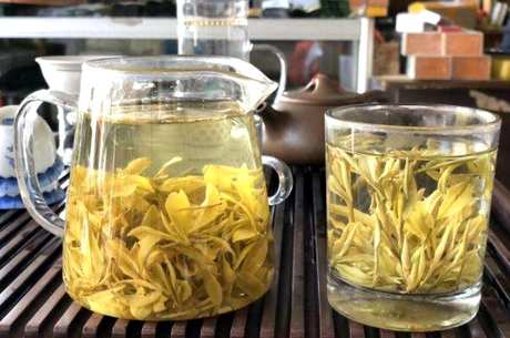 金芽茶一斤多少钱？金芽茶的档次如何？