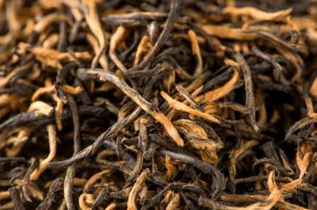 普洱茶的产地在哪里？