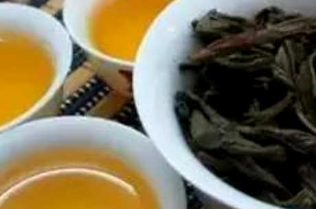 普洱茶的产地在哪里？