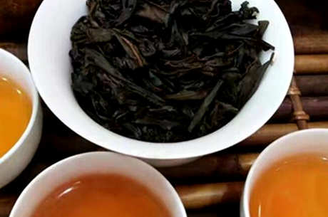 普洱茶的产地在哪里？