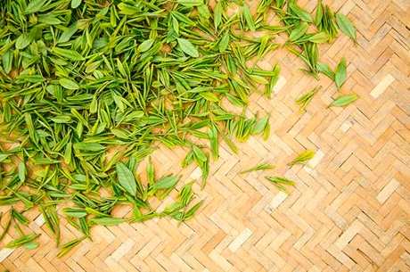 真正的绿茶是什么，好绿茶的味道是什么？