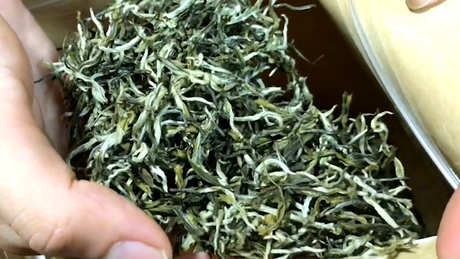 如何保存和储存各种茶叶