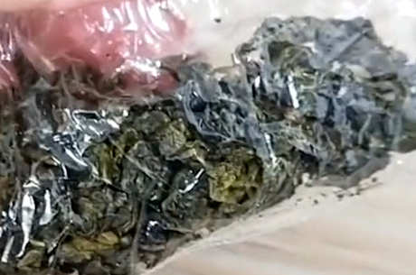 如何保存和储存各种茶叶