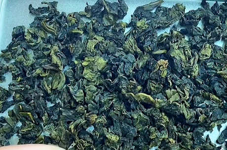 什么是乌龙茶？