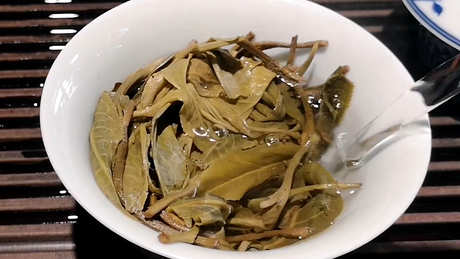 春茶好还是秋茶好？