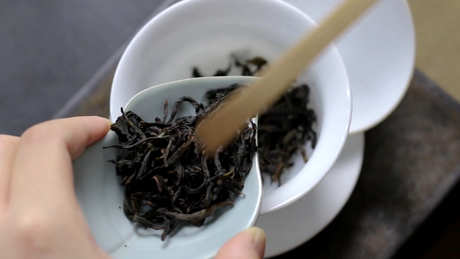 什么是单丛茶？