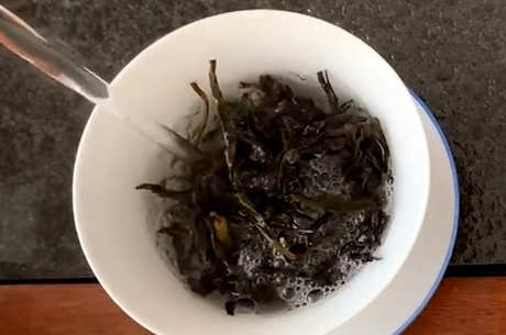 什么是单丛茶？