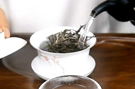 帕沙古树茶的特点