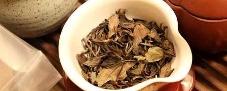 怎样泡白茶饼才好喝