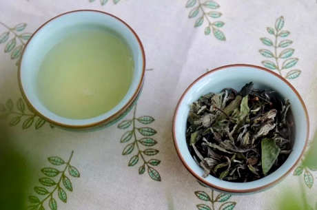 怎样泡白茶饼才好喝