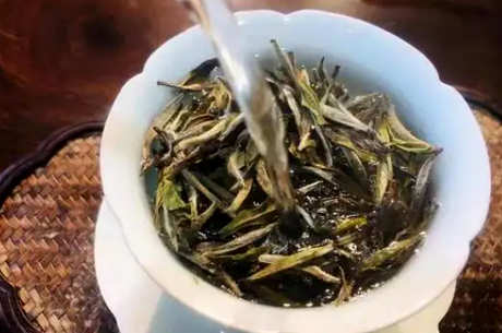 怎样泡白茶饼才好喝