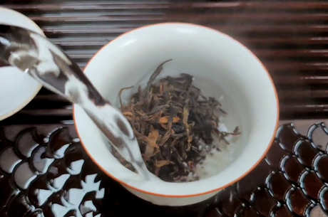 什么样的普洱茶好？